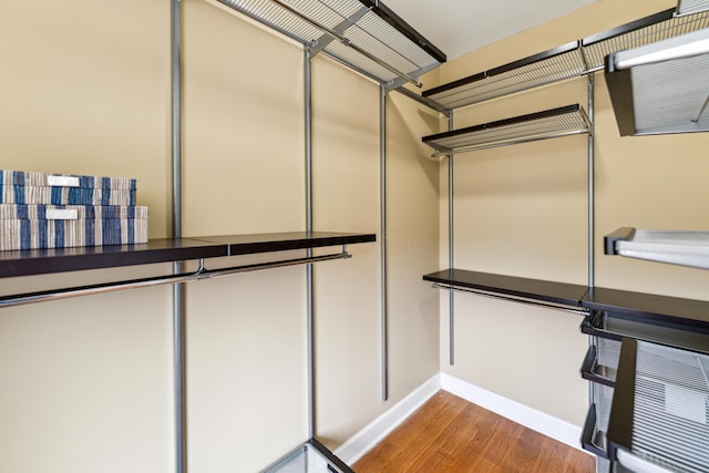 walk in closet featuring wood finished floors