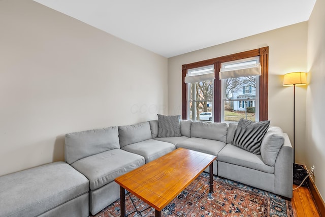 living room with wood-type flooring