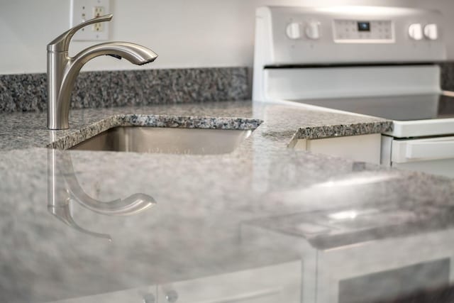 7083 Gallant Fox Dr Unit 4, New Albany, OH 43054 - detailed view of electric stove and a sink