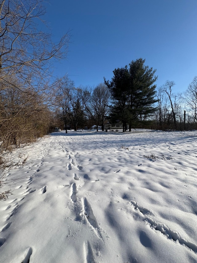 view of yard layered in snow