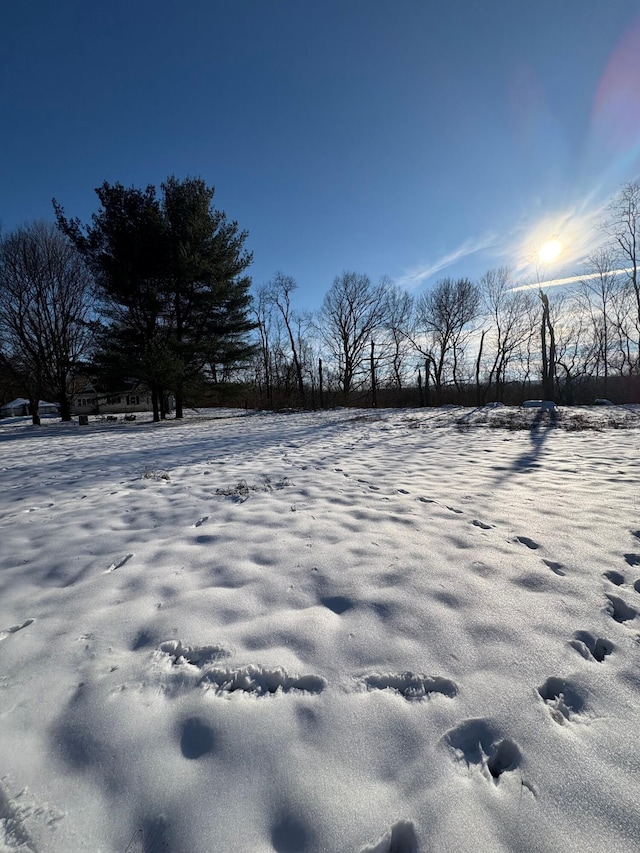 view of yard covered in snow