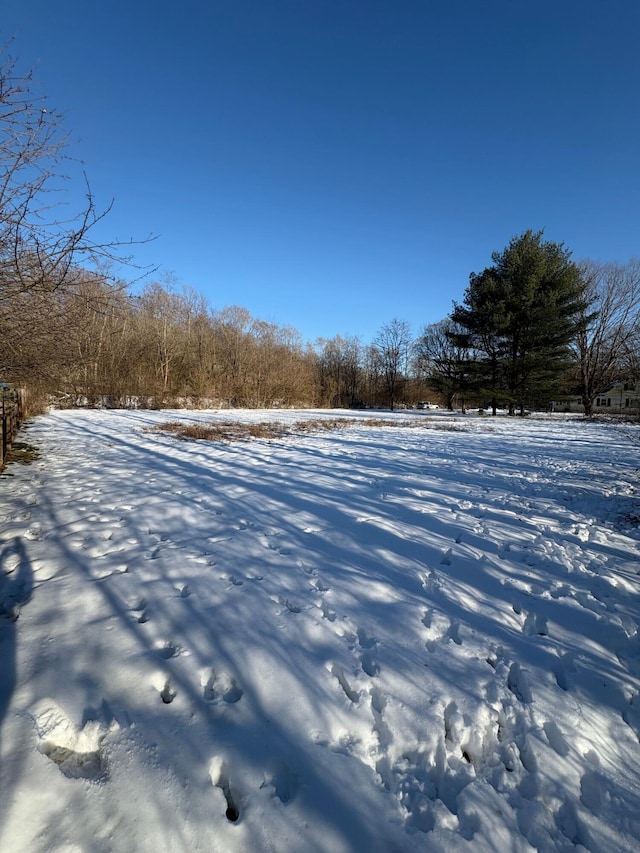 view of yard covered in snow