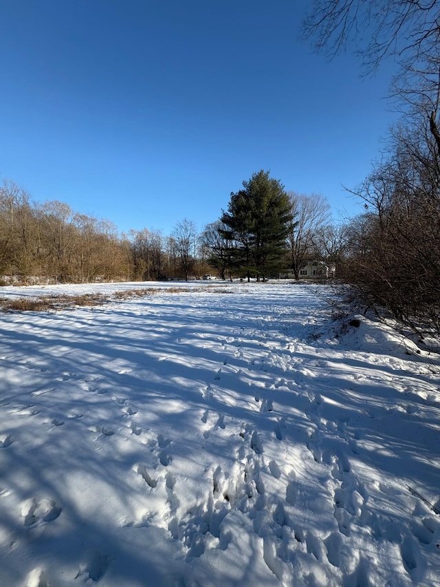 view of snowy yard