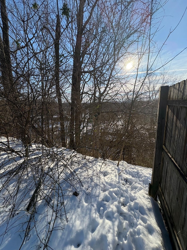 view of yard covered in snow