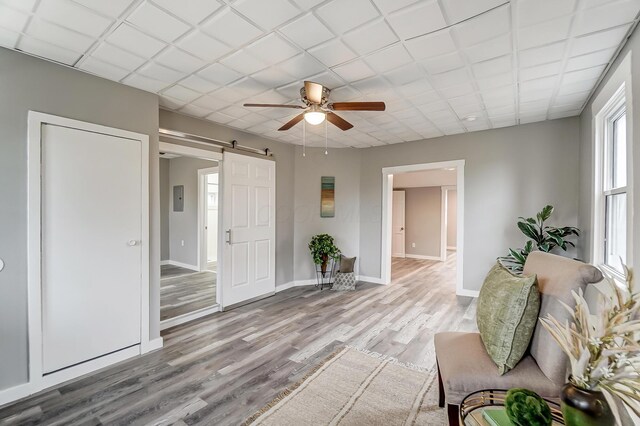 living area with ceiling fan, a paneled ceiling, a barn door, and light hardwood / wood-style floors