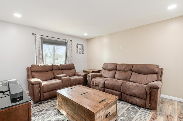 living room with wood-type flooring