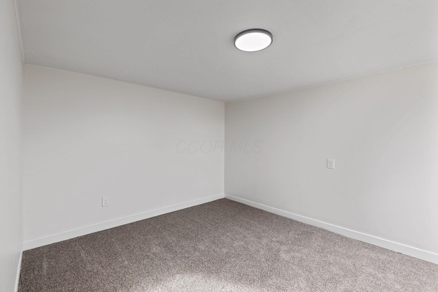 spare room with carpet floors