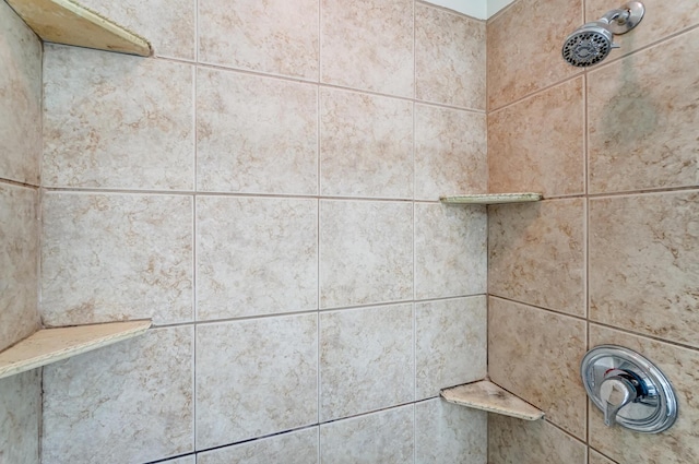 room details with walk in shower