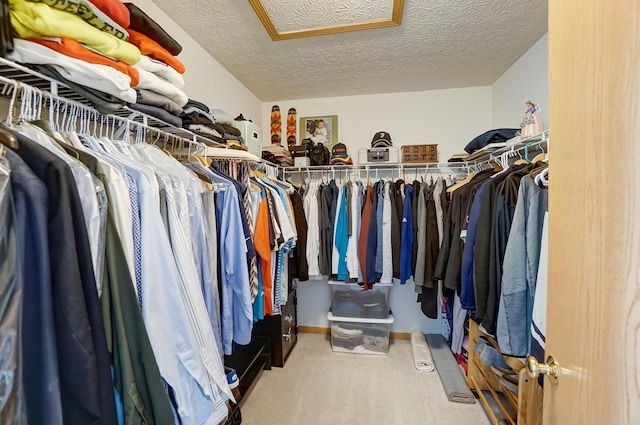 walk in closet with carpet floors