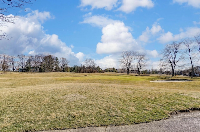 view of property's community with a yard