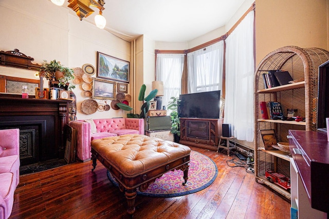 living area featuring a fireplace and hardwood / wood-style floors