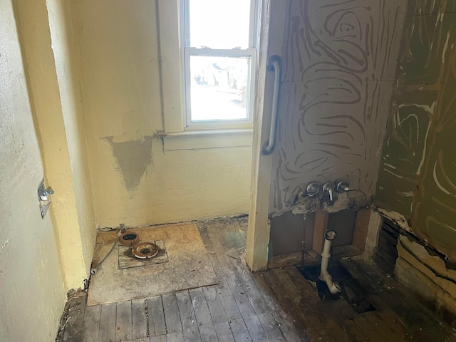 bathroom with hardwood / wood-style flooring