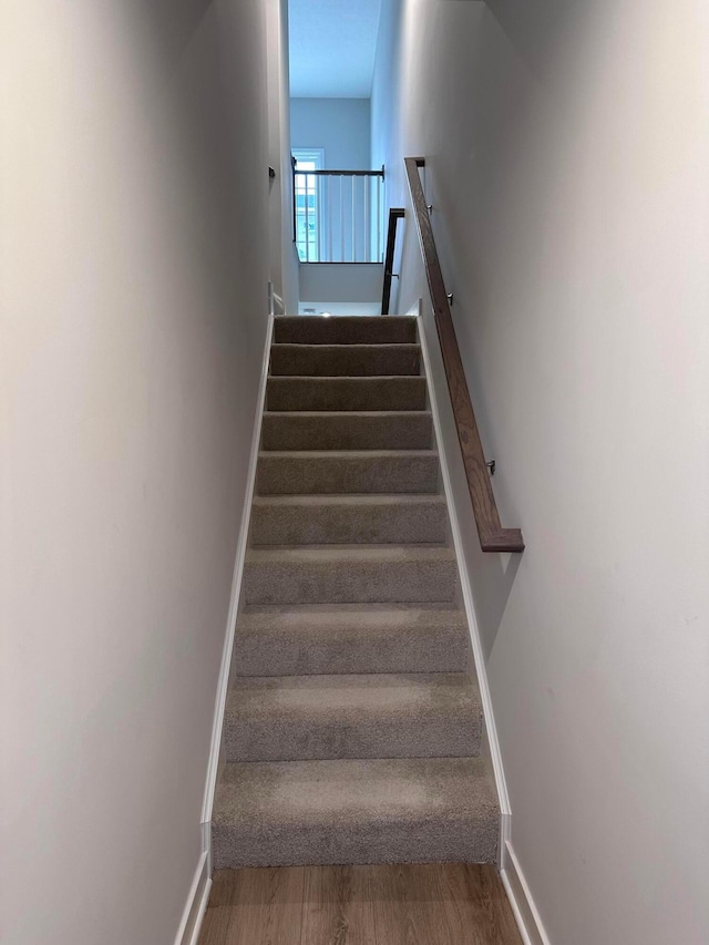 stairway with wood-type flooring