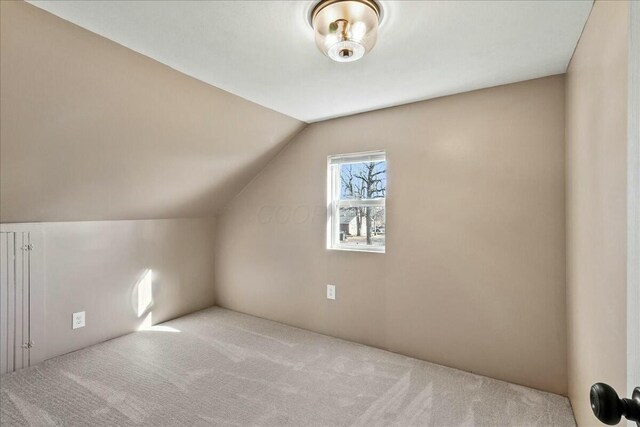8899 Walnut St, Lakeview, OH 43331 - additional living space with lofted ceiling and light carpet