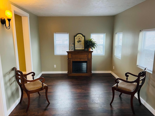 8899 Walnut St, Lakeview, OH 43331 - living area featuring dark hardwood / wood-style flooring and a textured ceiling