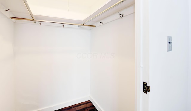 walk in closet with hardwood / wood-style flooring