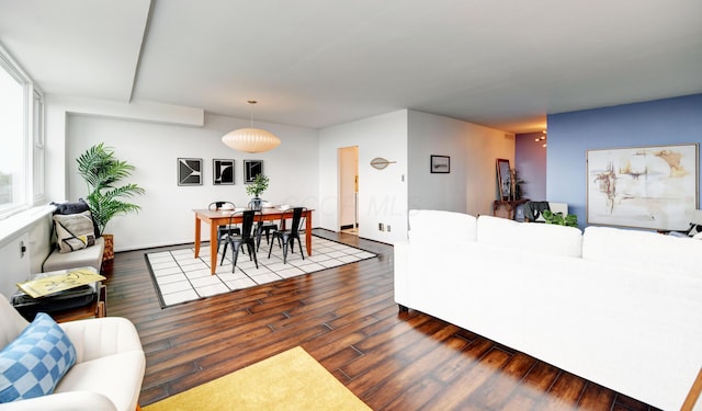 living room featuring dark wood-type flooring