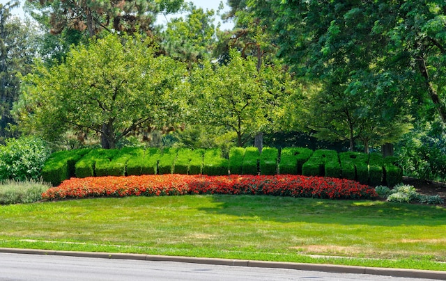 view of community with a lawn