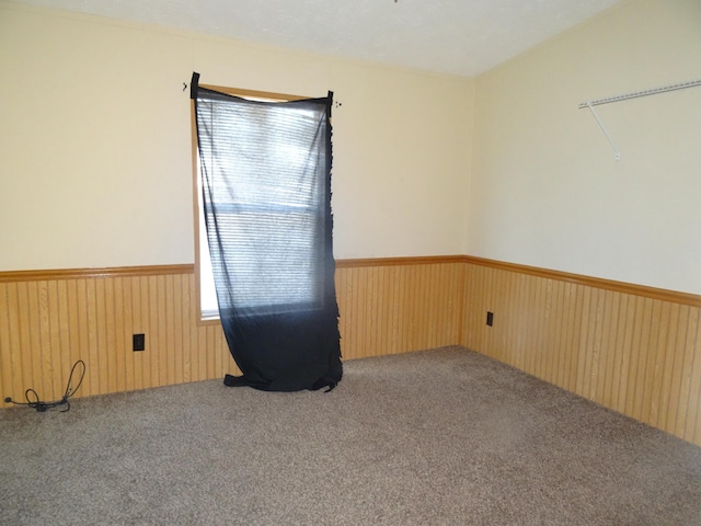 carpeted empty room with wooden walls