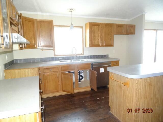 kitchen featuring a healthy amount of sunlight, decorative light fixtures, dishwasher, sink, and dark wood-type flooring