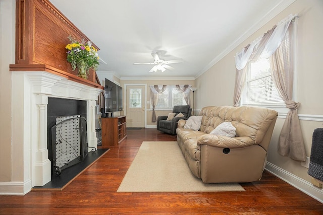 living room with crown molding, ceiling fan, and dark hardwood / wood-style flooring