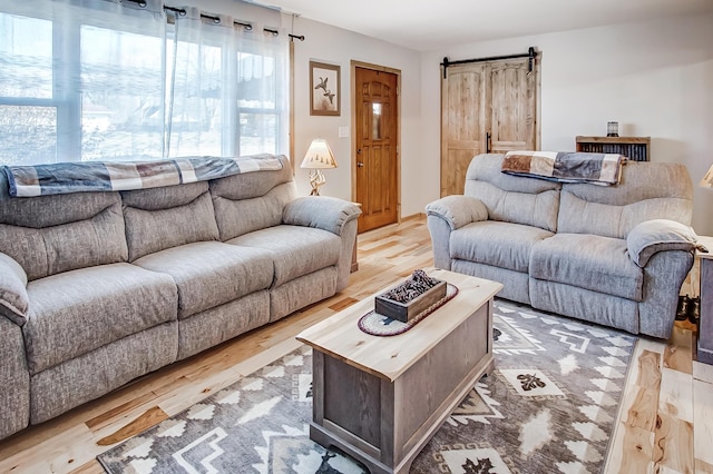 living room featuring light hardwood / wood-style flooring and a barn door