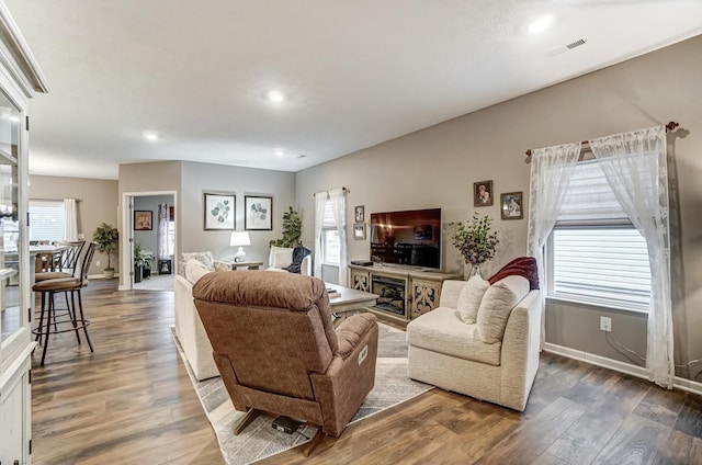 living room with hardwood / wood-style floors and plenty of natural light