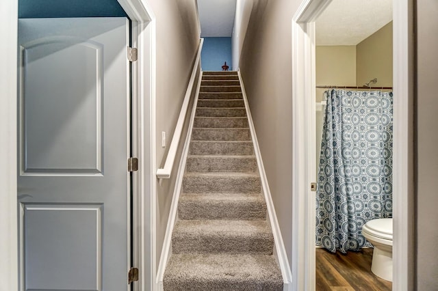 stairway featuring hardwood / wood-style floors