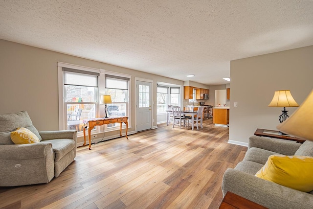 living room with light hardwood / wood-style flooring and a textured ceiling