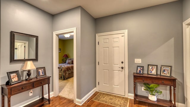 foyer entrance featuring dark wood-type flooring