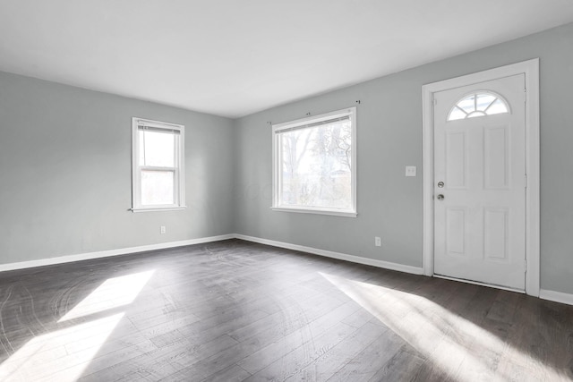 entrance foyer with dark wood-type flooring