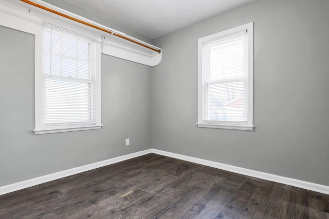 spacious closet featuring dark wood-type flooring