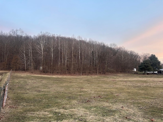 view of yard at dusk