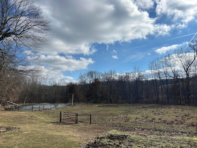 view of yard featuring a rural view