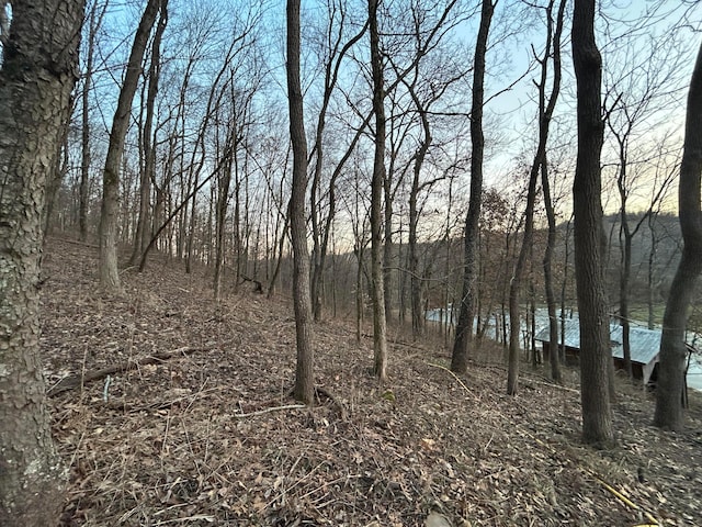 view of nature with a water view