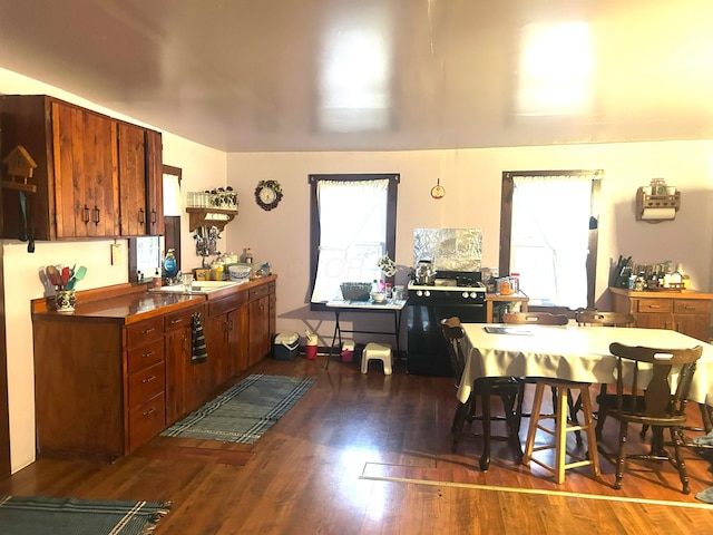 kitchen featuring sink and dark hardwood / wood-style floors