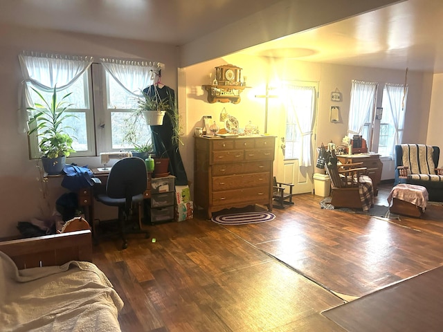 home office featuring dark hardwood / wood-style floors