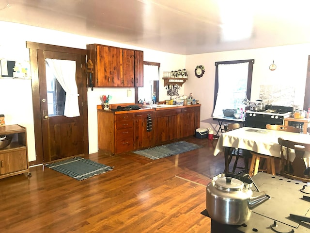 kitchen with dark hardwood / wood-style floors and sink