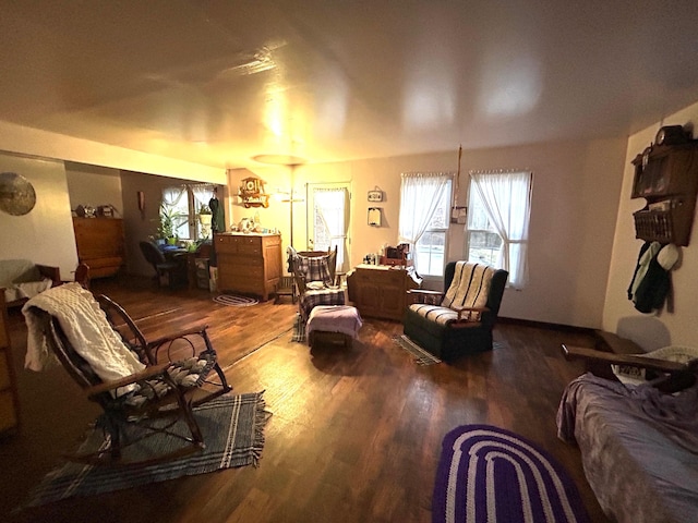 living room featuring hardwood / wood-style flooring