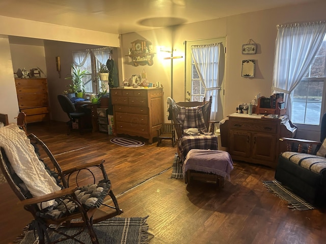 sitting room with wood-type flooring