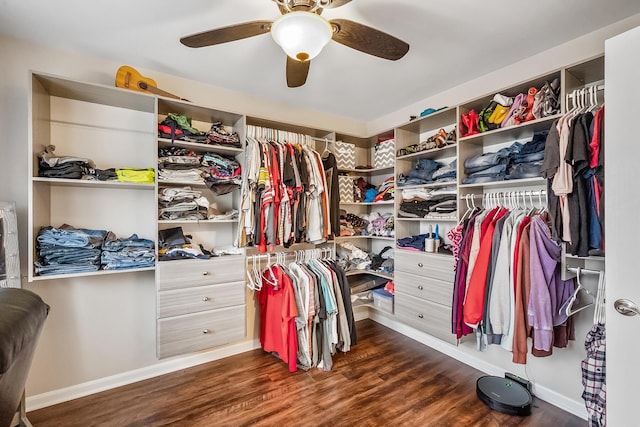 walk in closet with dark wood-type flooring and ceiling fan