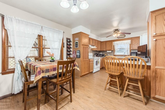 dining space with ceiling fan and light hardwood / wood-style flooring