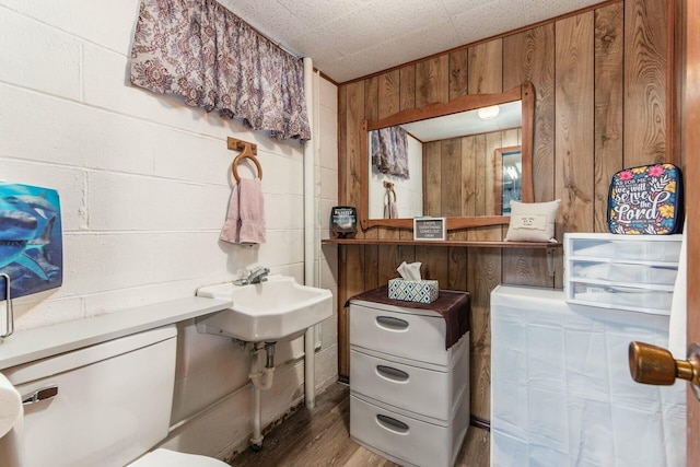 interior space with wood-type flooring, sink, and wood walls