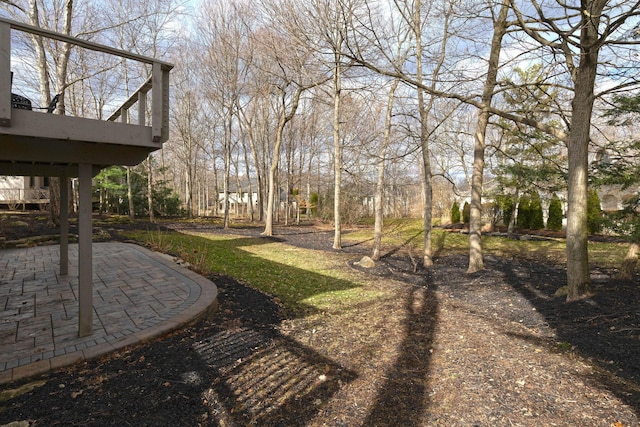 view of yard with a patio area