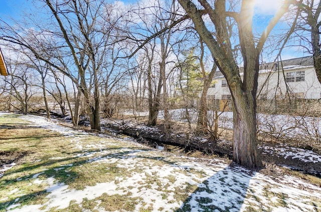 view of snowy yard