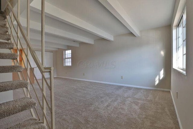 interior space with carpet floors