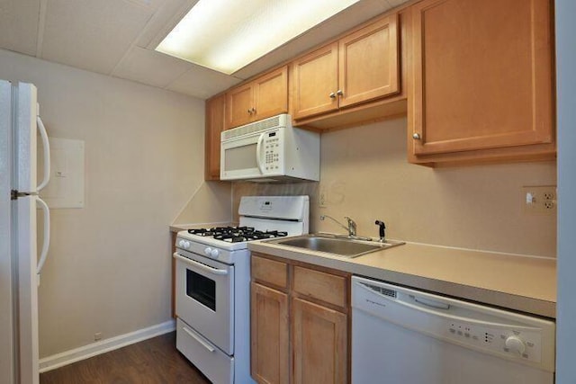 kitchen featuring dark hardwood / wood-style floors, sink, light brown cabinetry, and white appliances