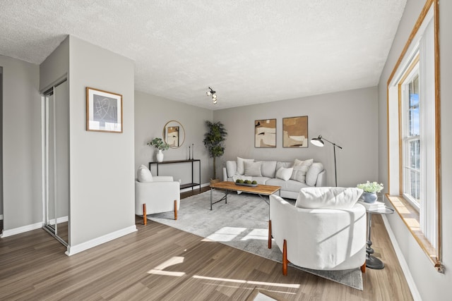 living room featuring a textured ceiling and wood-type flooring