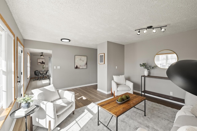 living room featuring hardwood / wood-style flooring and a textured ceiling