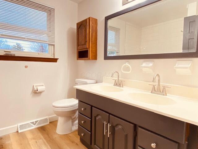 bathroom with wood-type flooring, toilet, and vanity